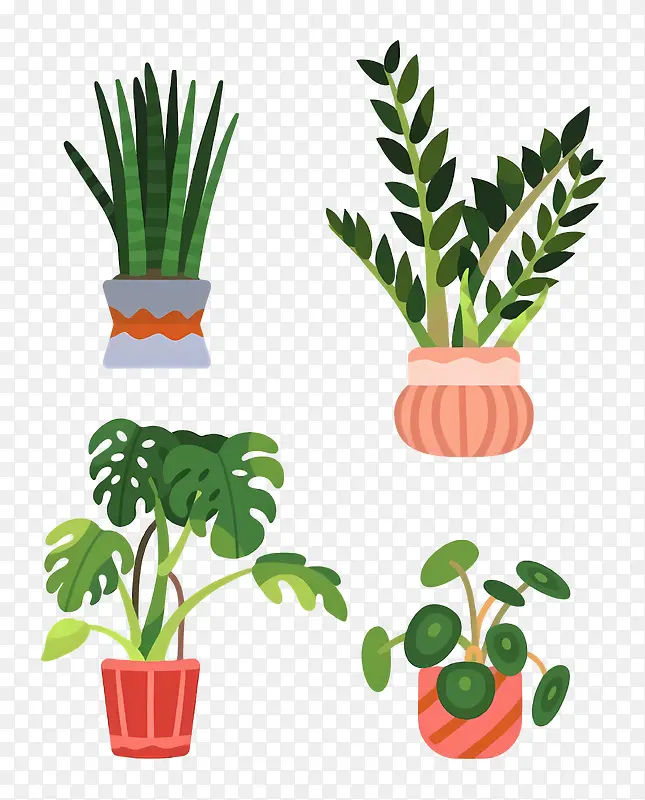 室内植物-展示各种盆栽室内植物PNG图片素材下载_图片编号11341003-PNG素材网