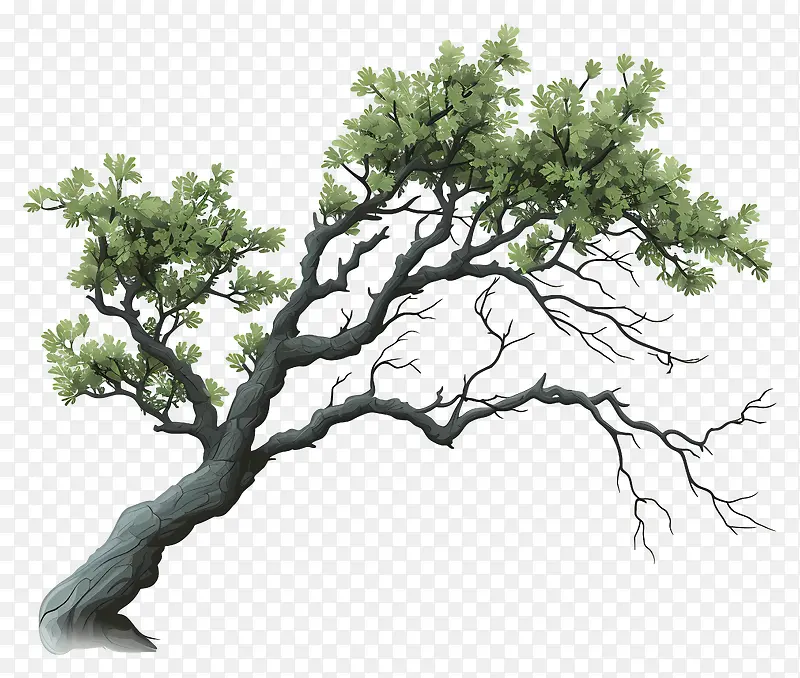 涂鸦风格的树枝—无叶绿树的程式化图像PNG图片素材下载_图片编号11413042-PNG素材网
