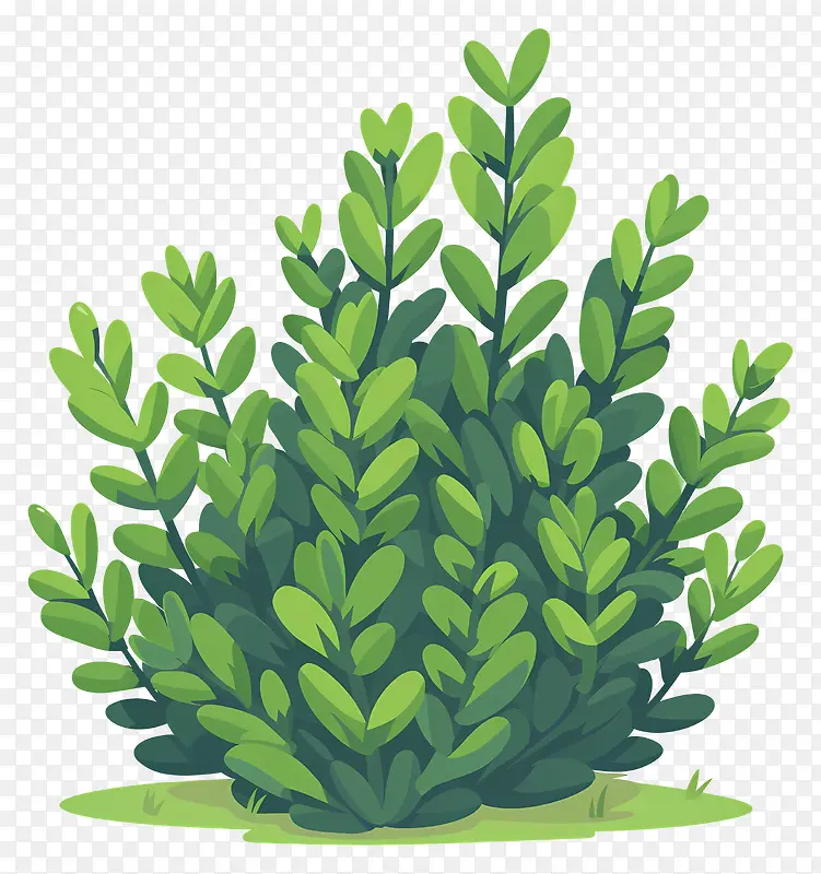 灌木植物PNG图片素材下载_图片编号11457538-PNG素材网