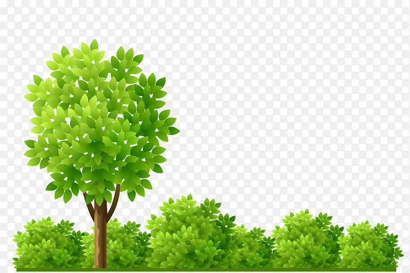 绿化景观植物PNG图片素材下载_图片编号11474048-PNG素材网