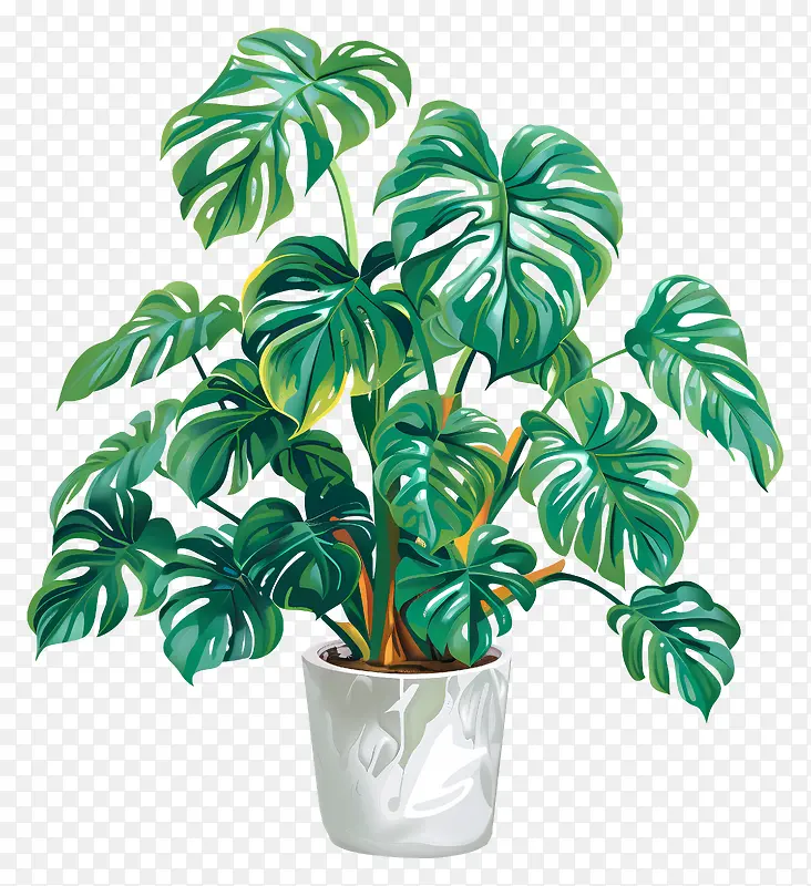 龟背竹室内绿植盆栽绘画插画PNG图片素材下载_图片编号11478875-PNG素材网