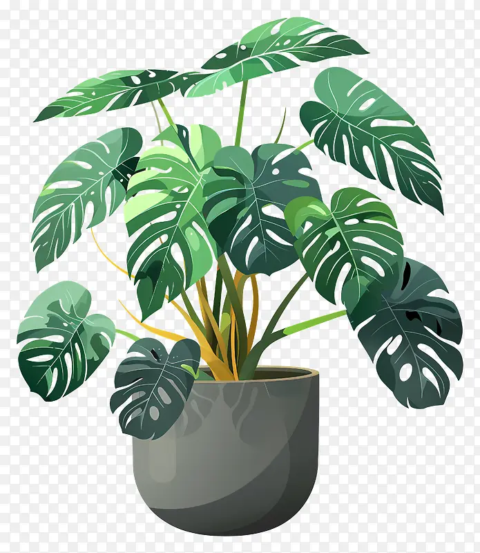 绿色室内植物插画PNG图片素材下载_图片编号11478809-PNG素材网