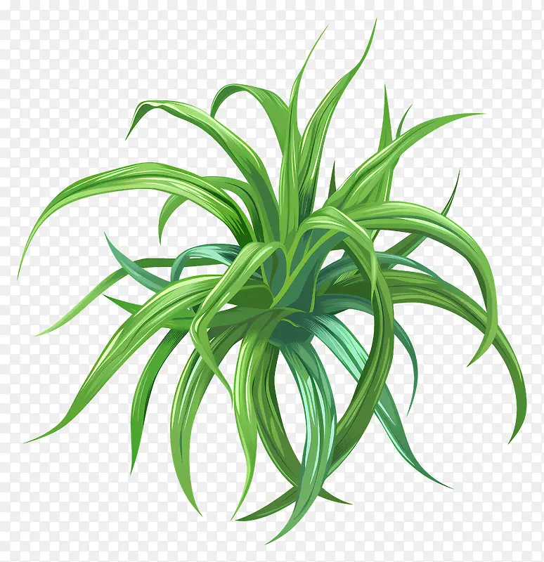 绿色植物插画PNG图片素材下载_图片编号11493786-PNG素材网