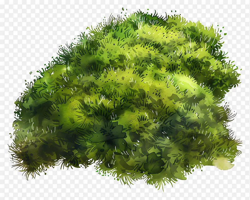 绿色植物,苔藓灌木PNG图片素材下载_图片编号11494029-PNG素材网