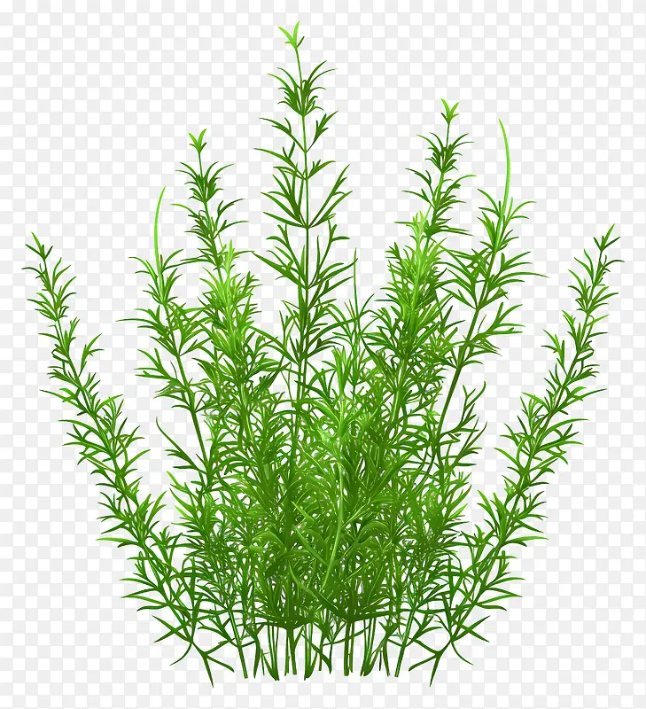 绿色植物插画PNG图片素材下载_图片编号11500254-PNG素材网