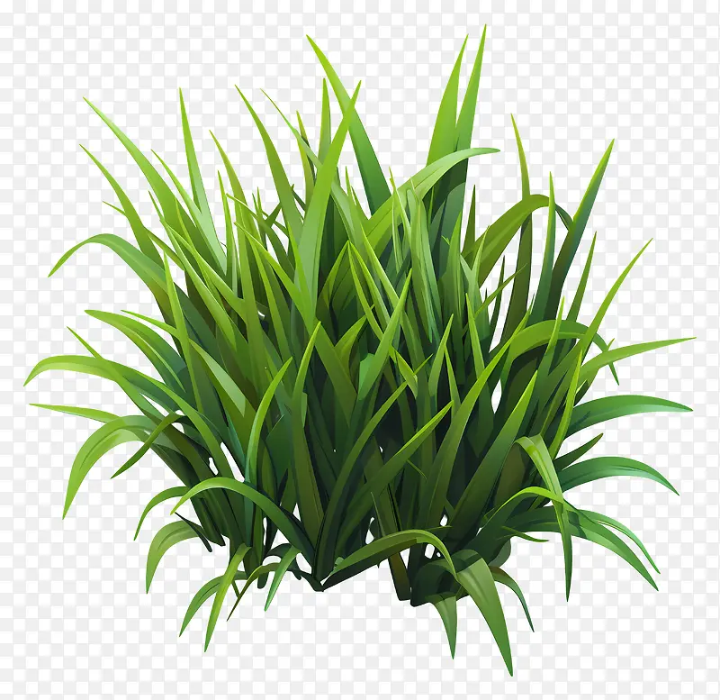 草绿植物PNG图片素材下载_图片编号11537776-PNG素材网