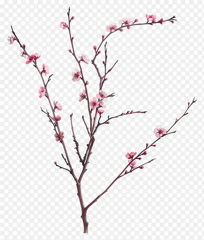 粉色花朵树枝PNG图片素材下载_图片编号11538165-PNG素材网
