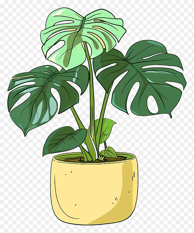 龟背竹插画PNG图片素材下载_图片编号11539936-PNG素材网