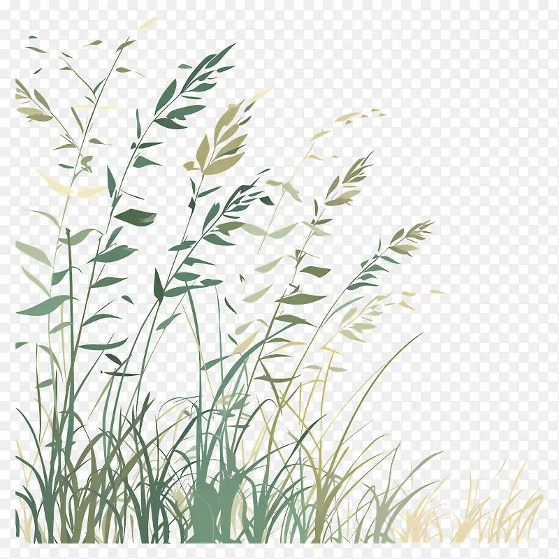 植物插画PNG图片素材下载_图片编号11541315-PNG素材网