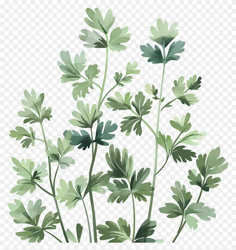 绿色植物插画PNG图片素材下载_图片编号11544421-PNG素材网
