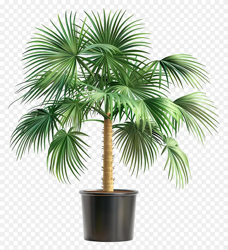 绿植盆栽, 室内植物PNG图片素材下载_图片编号11546889-PNG素材网