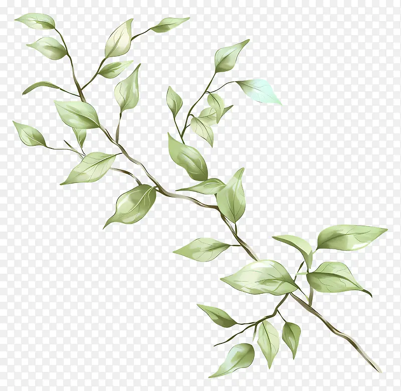 自然枝条,绿叶植物PNG图片素材下载_图片编号11561235-PNG素材网