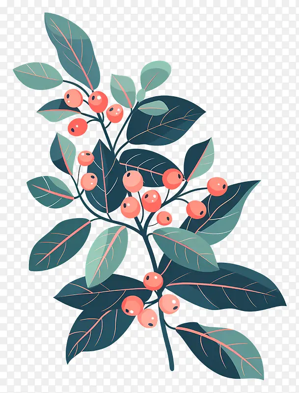 冬青槲寄生植物插画PNG图片素材下载_图片编号11562766-PNG素材网