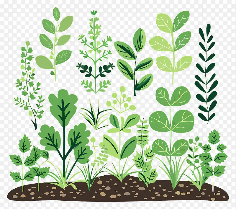 绿色植物插图PNG图片素材下载_图片编号11576748-PNG素材网