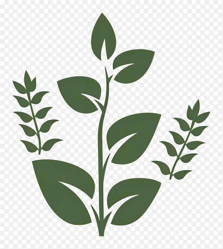 植物插画PNG图片素材下载_图片编号11577302-PNG素材网