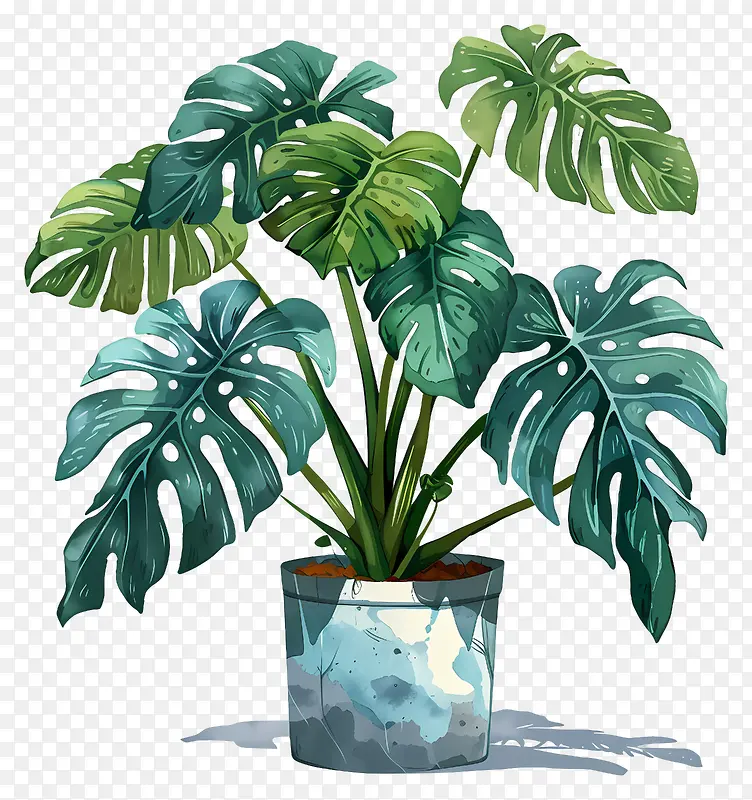 龟背竹植物插画PNG图片素材下载_图片编号11628566-PNG素材网