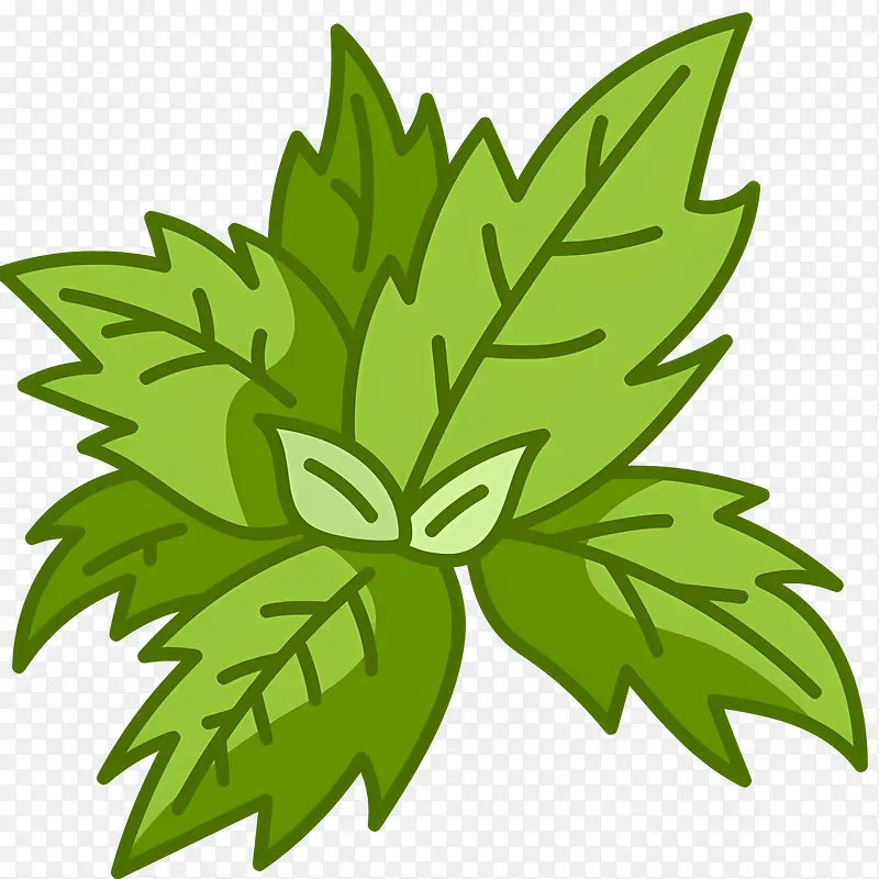 薄荷叶插画PNG图片素材下载_图片编号11653275-PNG素材网
