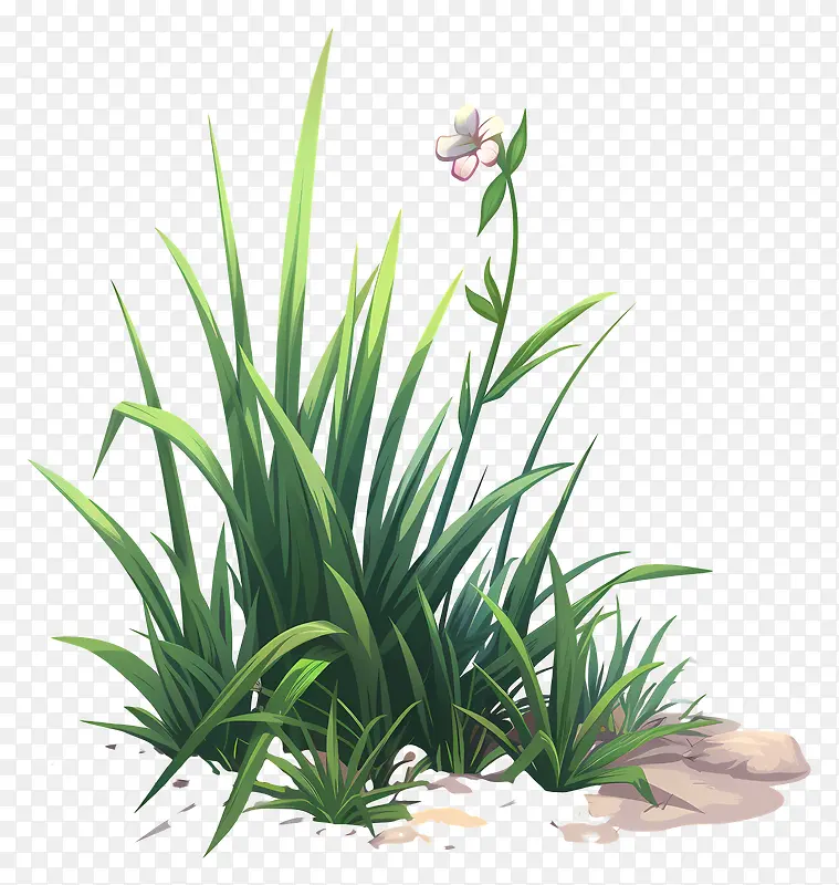 草地植物插画PNG图片素材下载_图片编号11697282-PNG素材网