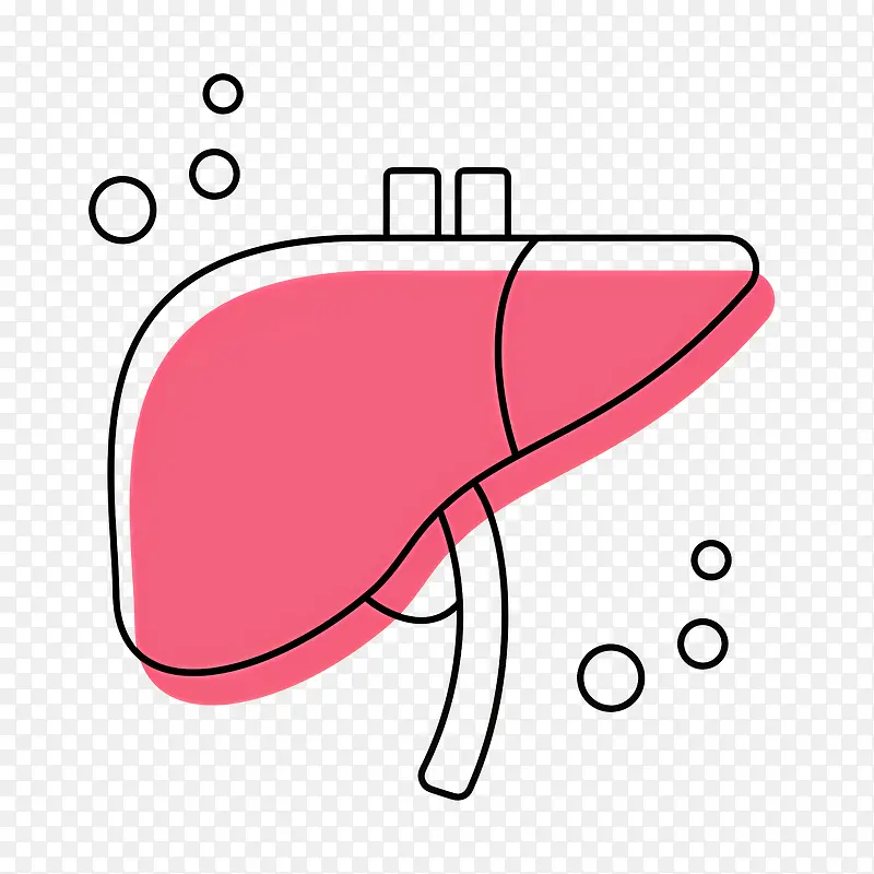 肝脏轮廓卡通插画PNG图片素材下载_图片编号11714615-PNG素材网