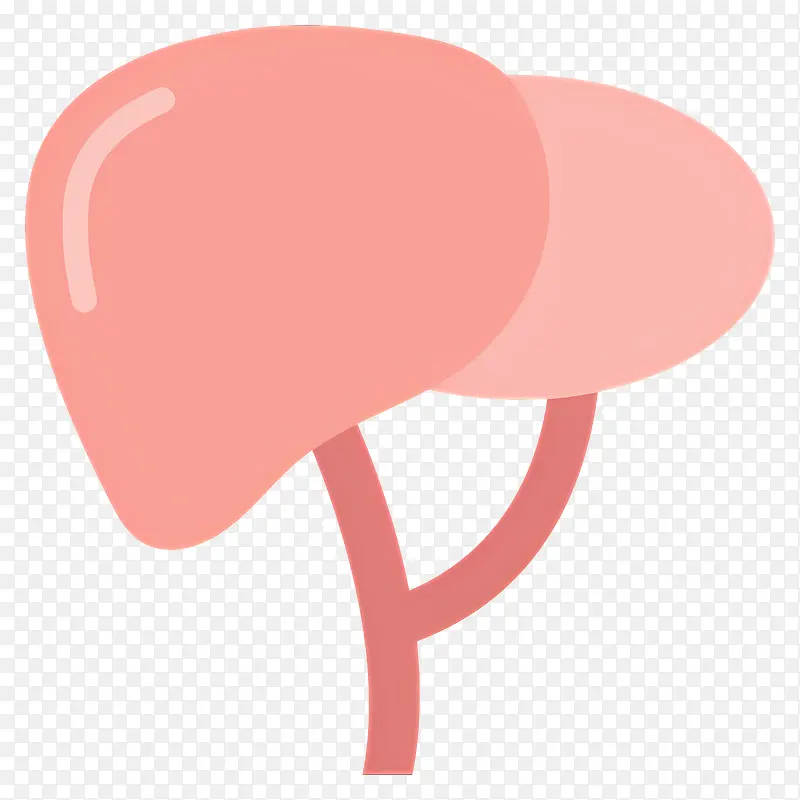 肝脏插画PNG图片素材下载_图片编号11714608-PNG素材网